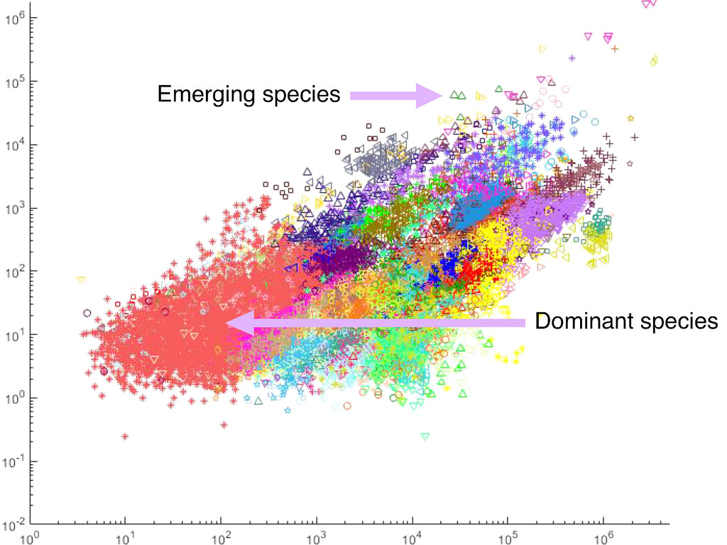 by fast analysis of thousands to millions of individuals, emerging species are noticed